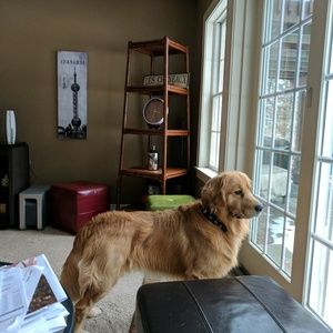 Meet your Posher, Julie